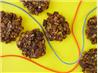Fruit Chewy Cookies With No Added Sugar