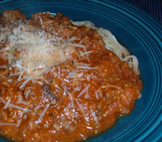 Bigfatmomma's Slow-cooked Meat Sauce. Photo by newspapergal