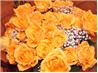Take Time to Smell the Roses - Cut Flower Enhancer, Extender