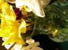 Take Time to Smell the Roses - Cut Flower Enhancer, Extender