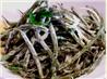 Green Bean Salad With a Creamy Tarragon Dressing. Recipe by - Carla -