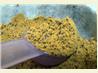 Mixed Dhal
