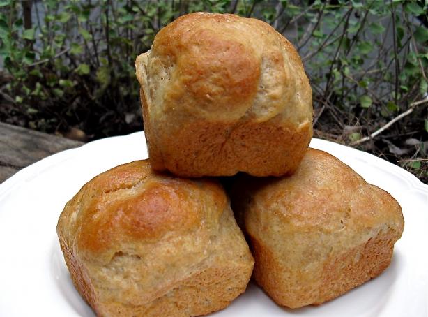 Whole Wheat Yogurt  Honey Dinner Rolls Bread Machine. Photo by PaulaG