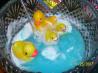 Blue Baby Shower Punch