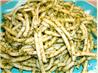 Pistachio Pesto Sauce. Recipe by jennifer in new jersey