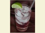 Seductive Gin Tonic