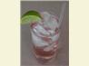 Seductive Gin Tonic