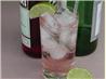 Seductive Gin Tonic