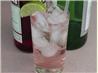 Seductive Gin Tonic