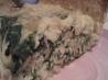 Secretly Delicious Spinach Pie