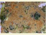 Good Broccoli Casserole. Photo by Sharbysyd