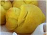 Pumpkin Knot Yeast Rolls. Recipe by *Parsley*