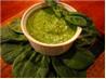 Zesto Pesto