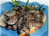 Creamed Mushrooms on Toast