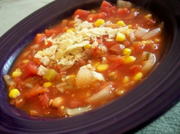 Easy Slow Cooked Vegetarian Taco Soup. Photo by *Parsley*