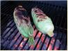 Bacon Wrapped Grilled Corn on the Cob