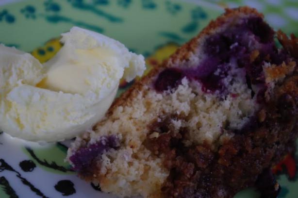 Tons of Blueberry Coffee Cake. Photo by Redsie