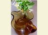 Honeysuckle Sore Throat Syrup