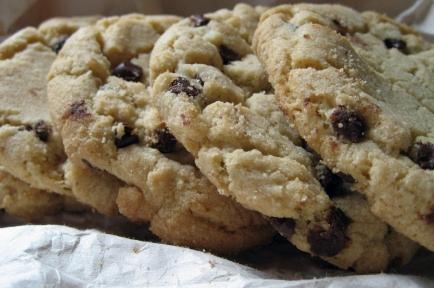 Blue Ridge Mountains Chocolate Chip Cookies. Photo by Southern Polar Bear