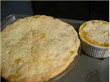 Basic Pie Crust I