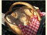 Indian Fry Bread. Recipe by faith58
