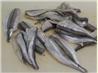 Crisp Fried Smelt - Smelts