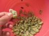 Gabriel’s Sauteed Fava Beans