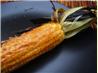 Aw Shucks Grilled Corn