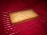 Pecan Carrot Bread or Muffins