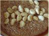Caramelized Garlic