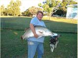 Baked Barramundi. Photo by mummamills