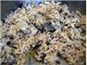 Wild Mushroom Risotto