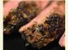 Lemon Herb Duck Breasts