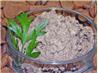 Smoked Venison Spread. Recipe by Dreamgoddess