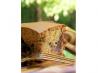 Costa Rican Raisin Cake