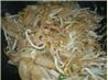 Shrimp  Chow Fun. Recipe by chia