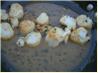 Scallops Piccata