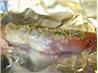 Roasted Pork Loin With Rosemary and Garlic. Recipe by Rita~