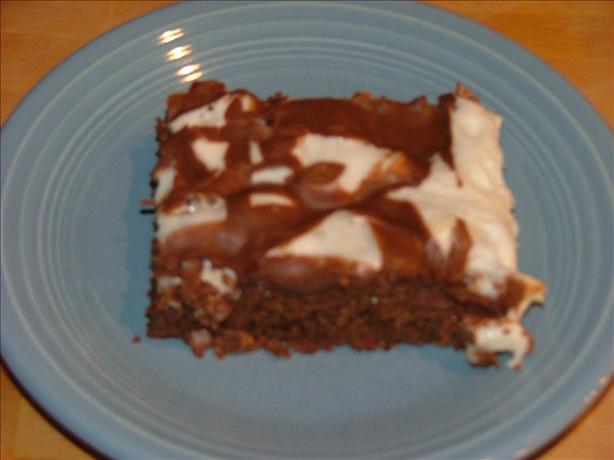 Mississippi Mud Cake. Photo by Lvs2Cook