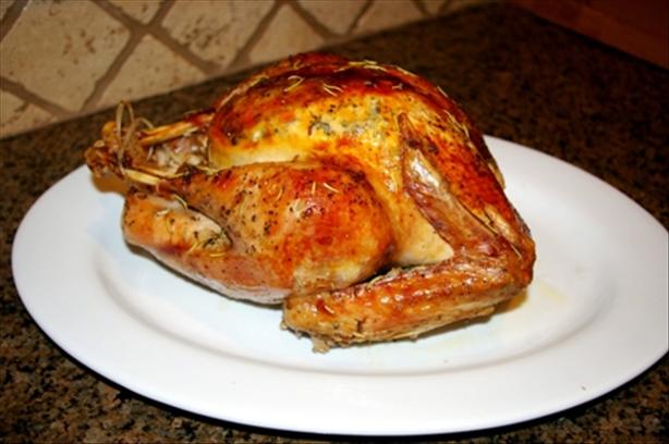 Roast Turkey (easy steps for new cooks). Photo by Jessica #7