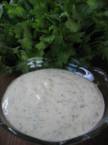 Amy's Cilantro Cream Sauce. Photo by Babs7