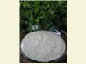Amy's Cilantro Cream Sauce. Recipe by bluemoon downunder