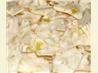 Lemon Bark