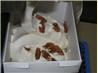 Homemade Butter Pecan Ice Cream
