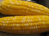 Kittencal's Milk Boiled Corn on the Cob