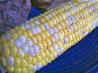 Kittencal's Milk Boiled Corn on the Cob
