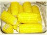 Kittencal's Milk Boiled Corn on the Cob