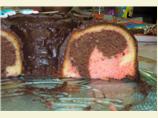 Neapolitan Cake. Photo by Moe! Larry! Cheese!