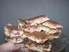 Granola Bars