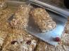 Granola Bars